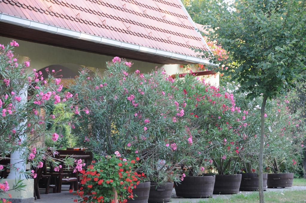 Bed and Breakfast Huszar Panzio Es Etterem Шарошпатак Екстер'єр фото